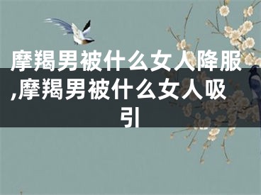 摩羯男被什么女人降服,摩羯男被什么女人吸引