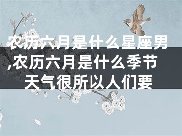 农历六月是什么星座男,农历六月是什么季节天气很所以人们要