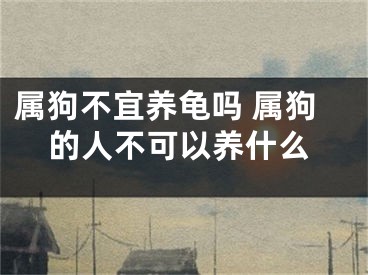 属狗不宜养龟吗 属狗的人不可以养什么