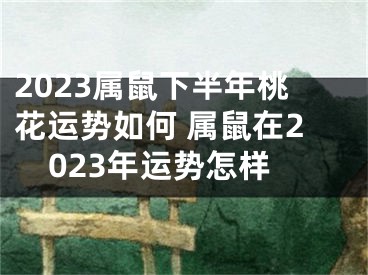 2023属鼠下半年桃花运势如何 属鼠在2023年运势怎样