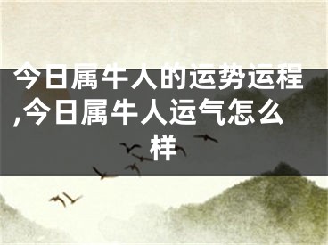 今日属牛人的运势运程,今日属牛人运气怎么样