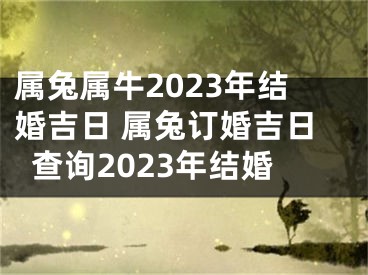 属兔属牛2023年结婚吉日 属兔订婚吉日查询2023年结婚