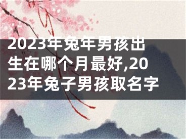 2023年兔年男孩出生在哪个月最好,2023年兔子男孩取名字