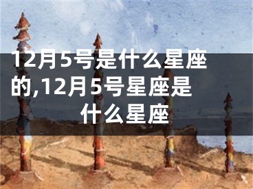 12月5号是什么星座的,12月5号星座是什么星座
