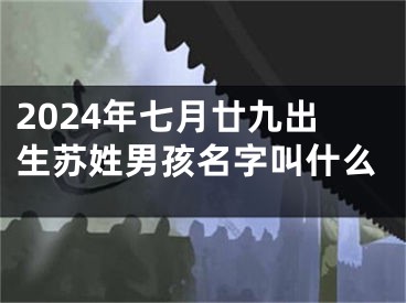 2024年七月廿九出生苏姓男孩名字叫什么