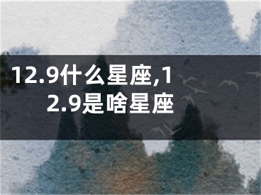 12.9什么星座,12.9是啥星座