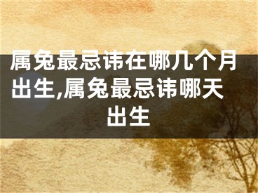 属兔最忌讳在哪几个月出生,属兔最忌讳哪天出生