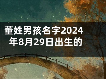 董姓男孩名字2024年8月29日出生的