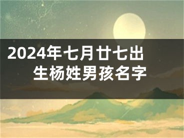 2024年七月廿七出生杨姓男孩名字