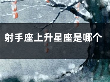 射手座上升星座是哪个