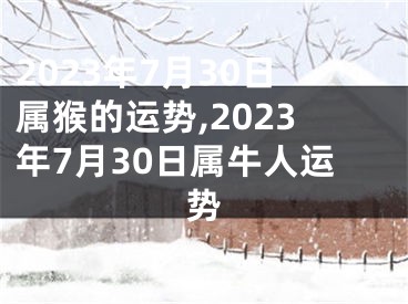 2023年7月30日属猴的运势,2023年7月30日属牛人运势