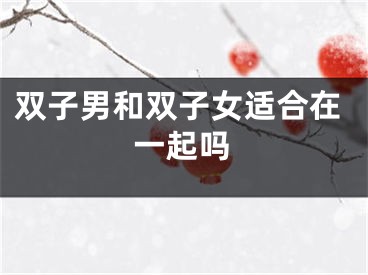 双子男和双子女适合在一起吗