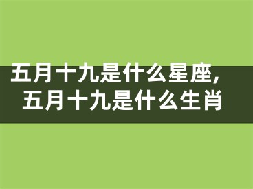 五月十九是什么星座,五月十九是什么生肖