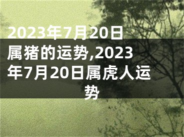 2023年7月20日属猪的运势,2023年7月20日属虎人运势