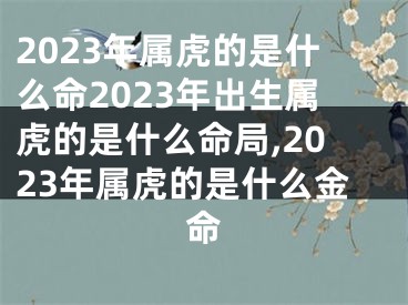 2023年属虎的是什么命2023年出生属虎的是什么命局,2023年属虎的是什么金命