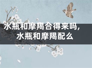 水瓶和摩羯合得来吗,水瓶和摩羯配么