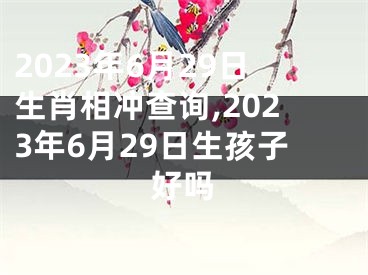 2023年6月29日生肖相冲查询,2023年6月29日生孩子好吗