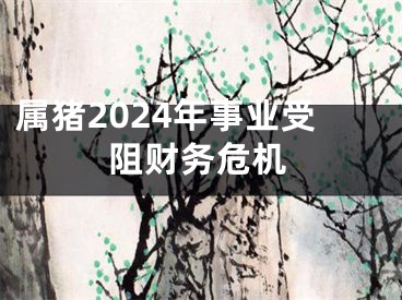 属猪2024年事业受阻财务危机