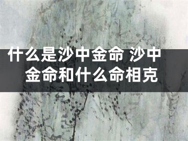 什么是沙中金命 沙中金命和什么命相克