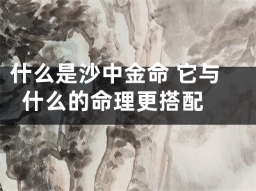 什么是沙中金命 它与什么的命理更搭配 