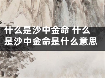 什么是沙中金命 什么是沙中金命是什么意思