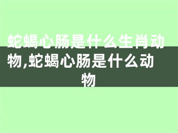 蛇蝎心肠是什么生肖动物,蛇蝎心肠是什么动物
