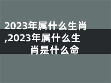 2023年属什么生肖,2023年属什么生肖是什么命