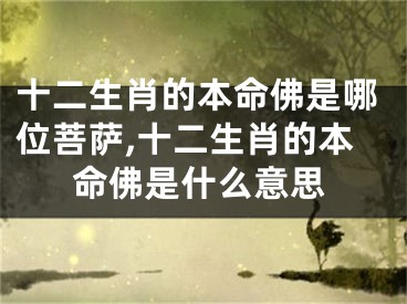 十二生肖的本命佛是哪位菩萨,十二生肖的本命佛是什么意思