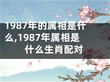 1987年的属相是什么,1987年属相是什么生肖配对
