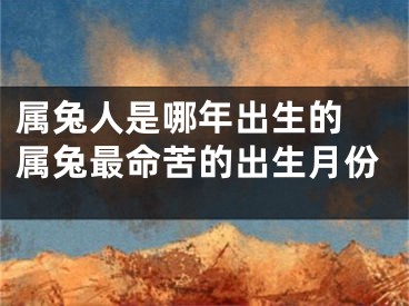 属兔人是哪年出生的 属兔最命苦的出生月份