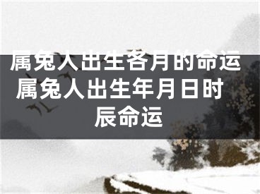 属兔人出生各月的命运 属兔人出生年月日时辰命运