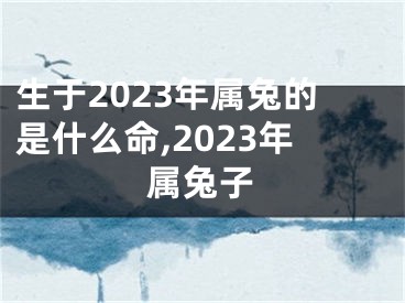 生于2023年属兔的是什么命,2023年属兔子