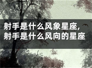射手是什么风象星座,射手是什么风向的星座