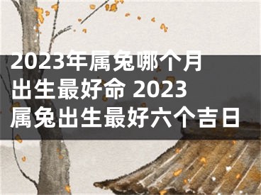 2023年属兔哪个月出生最好命 2023属兔出生最好六个吉日