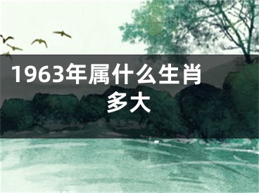 1963年属什么生肖多大