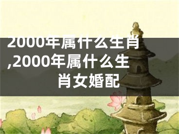 2000年属什么生肖,2000年属什么生肖女婚配