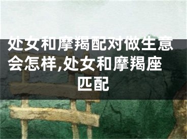 处女和摩羯配对做生意会怎样,处女和摩羯座匹配