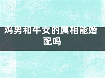 鸡男和牛女的属相能婚配吗