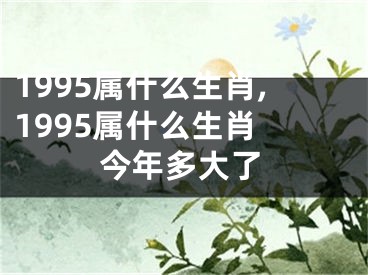 1995属什么生肖,1995属什么生肖 今年多大了
