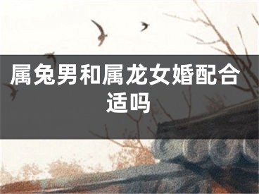 属兔男和属龙女婚配合适吗