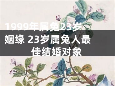 1999年属兔23岁姻缘 23岁属兔人最佳结婚对象