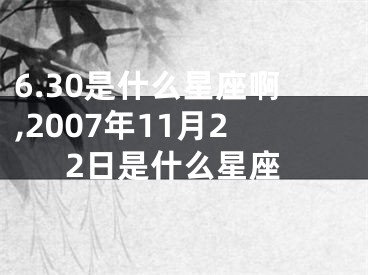 6.30是什么星座啊,2007年11月22日是什么星座