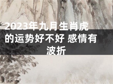2023年九月生肖虎的运势好不好 感情有波折