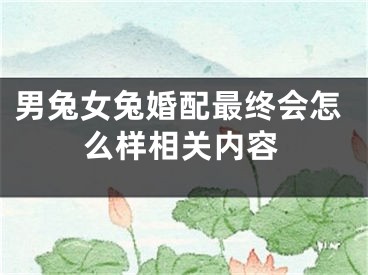 男兔女兔婚配最终会怎么样相关内容