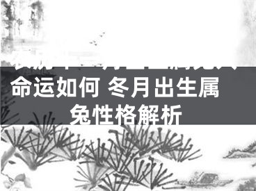 农历十一月出生属兔人命运如何 冬月出生属兔性格解析