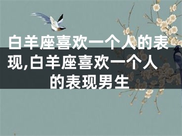 白羊座喜欢一个人的表现,白羊座喜欢一个人的表现男生