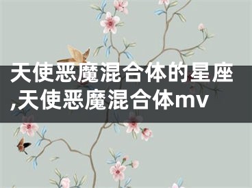 天使恶魔混合体的星座,天使恶魔混合体mv