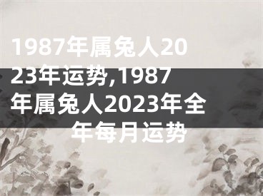 1987年属兔人2023年运势,1987年属兔人2023年全年每月运势