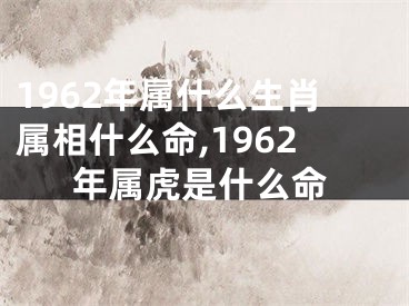 1962年属什么生肖属相什么命,1962年属虎是什么命