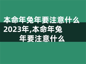 本命年兔年要注意什么2023年,本命年兔年要注意什么